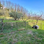 Apartman La Casa Di Lina Bardolino